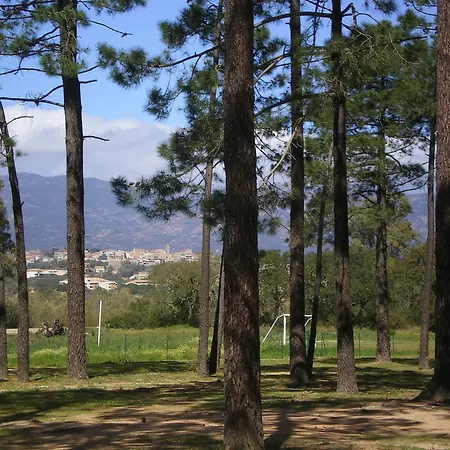 Les Jardins Du Golfe
